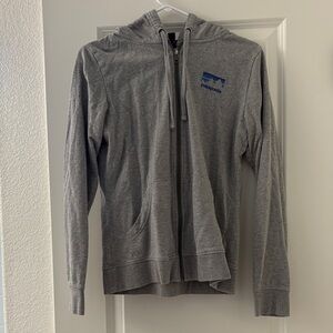 Patagonia Heather Gray Full-Zip Hoodie